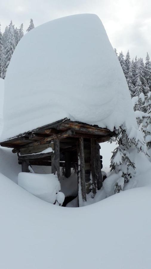 Haus Hoellwart Sankt Johann im Pongau Extérieur photo